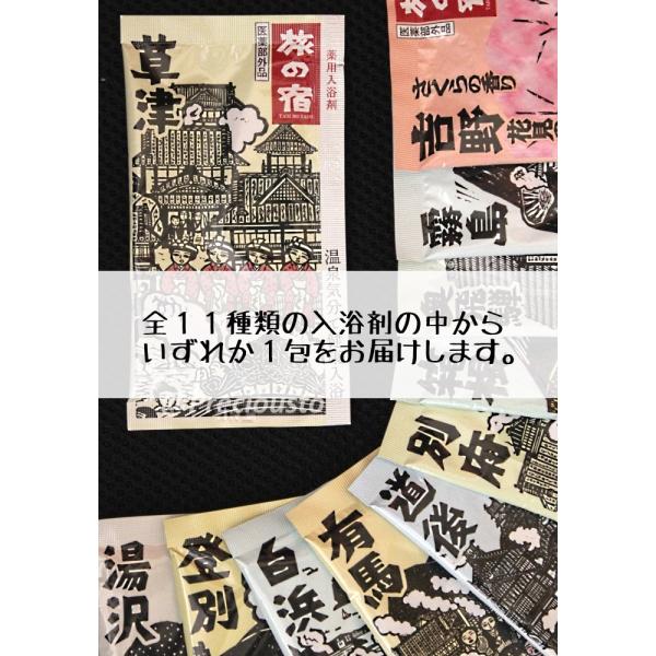 送料無料 ポイント 消化 クラシエ 旅の宿 薬用入浴剤 1包 コストコ 小分け お試し 商品券 医薬...