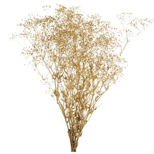 大地農園 プリザーブドフラワー スーパーソフトミニカスミ草(20g入り) DO000020-902 :s-4988489063067-20211130:California雑貨店 - 通販 - Yahoo!ショッピング