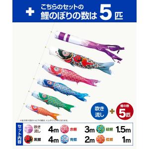 鯉のぼり 庭用 こいのぼり 徳永鯉のぼり 晴れ...の詳細画像1