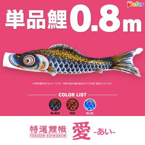 鯉のぼり 岡本太郎鯉のぼり 岡本太郎ミュージアム限定品 大型鯉庭園用