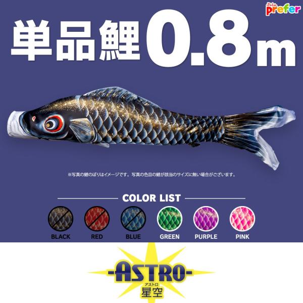 こいのぼり 単品 ASTRO 星空鯉 0.8m 単品鯉
