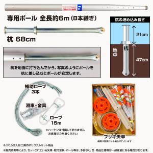 鯉のぼり 庭用 こいのぼり フジサン鯉 富士鯉...の詳細画像3
