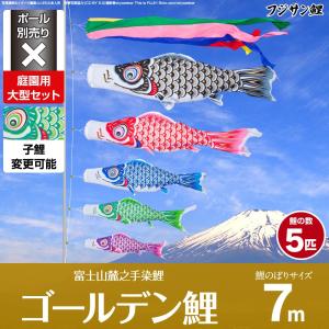 鯉のぼり 庭用 こいのぼり フジサン鯉 ゴールデン鯉