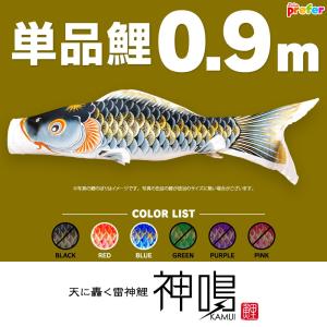 徳永鯉のぼり ゴールド鯉セット5m 8点 こいのぼり 【送料無料