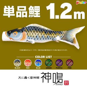 こいのぼり 単品 神鳴鯉 KAMUI 1.2m 単品鯉｜prefer