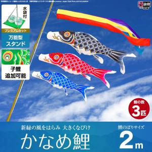 旭天竜 【100周年記念祭】こいのぼり 鯉のぼり 庭園用 1.5m6点