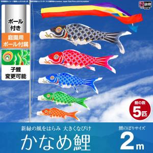 鯉のぼり ベランダ用 こいのぼり 錦鯉 新緑の風になびく かなめ鯉 2m 8