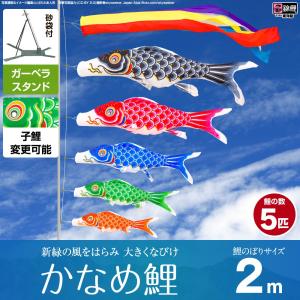 おもちゃ ミニ鯉 矢車付きミニ鯉（大）セット 20個入り KOI-T-152-699