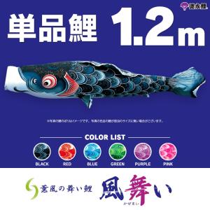 鯉のぼりセット 庭用 ポール付 こいのぼり フジサン鯉 ゴールデン鯉 3m