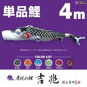 こいのぼり 単品 ゴールド鯉 5m 単品鯉 黒 赤 青 緑 橙 : 節句&ギフト