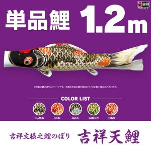 こいのぼり 単品 江戸錦鯉 3m 単品鯉 : 節句&ギフト専門店 ぷりふあ