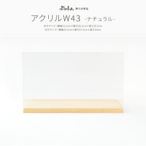 雛人形 飾り道具のみ アクリルカバー 桜／枝付ケースのみ ひな人形 雛
