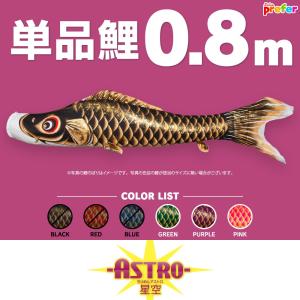 こいのぼり 単品 ASTRO ちりめん星空鯉 0.8m 単品鯉｜節句&ギフト専門店 ぷりふあ人形