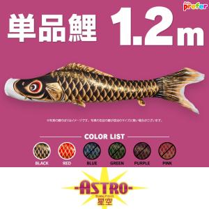 鯉のぼり ベランダ用 こいのぼり 友禅鯉 1m 6点セット 格子金具付属