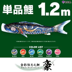 こいのぼり 単品 金太郎太翔 6m 単品鯉 黒 : 節句&ギフト専門店 ぷりふ