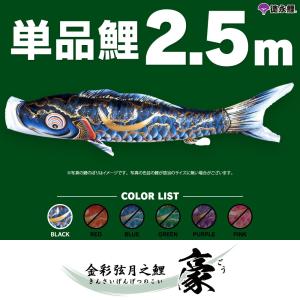 鯉のぼり　単品　金箔鯉　8m　黒 gold-015.jpg