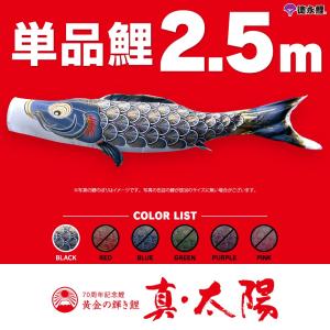 単品こいのぼり☆寿光鯉☆金太郎付黒6m鯉のぼり : 節句人形