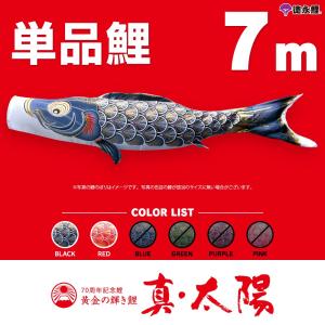 単品こいのぼり☆寿光鯉☆金太郎付黒6m鯉のぼり : 節句人形