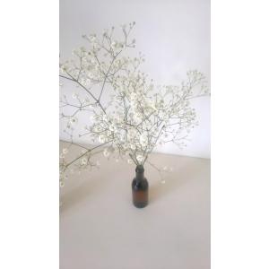 プリザーブドリーフ液 <クリアーA>...の商品画像