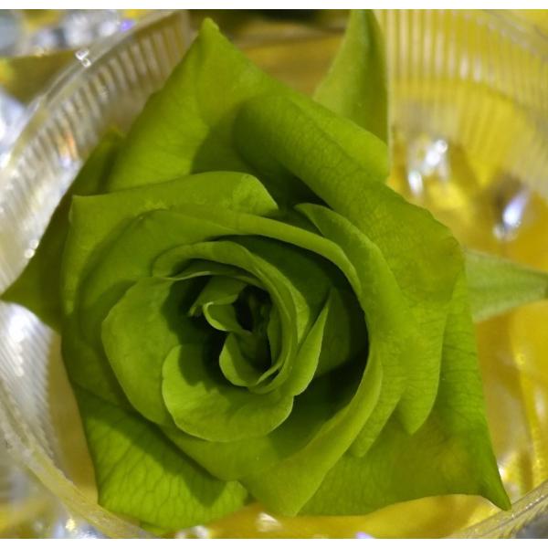 プリザーブドフラワー染色液〈メルヘンメロン〉500ml