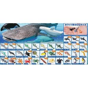 フィギュア 海シリーズ 全36種類入りの詳細画像2