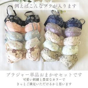 ブラジャー 福袋 ブラ レディース 単品 3点...の詳細画像4