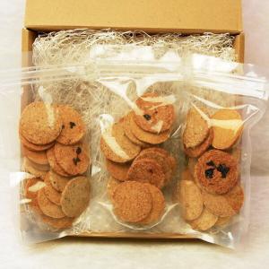 プレマシャンティ おからクッキーセット 15枚ｘ3袋（レーズン・かぼちゃ・にんじん・KUROGO・白ごま）｜prema