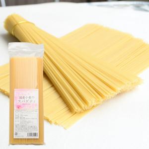 プレマシャンティ 国産小麦のスパゲティ 500gの商品画像