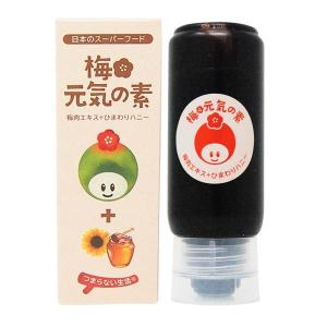 マインドスパ マインドスパ マインドスパ mind spa 進化系マインドマシン