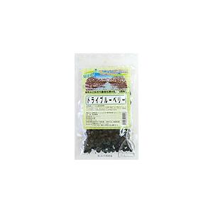 ネオファーム（NEOFARM） ドライブルーベリー 40g