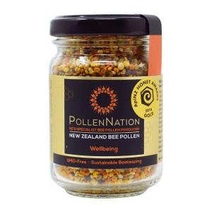 PollenNation ビーポーレン 100gの商品画像
