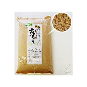 ばんばさんの「夢ごこち」   玄米 5kg 【令和5年産】｜prema