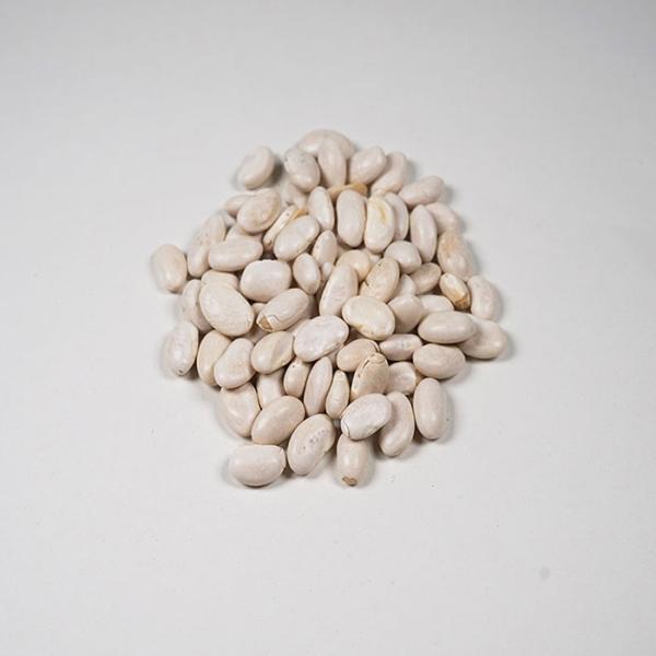 ALISHAN（アリサン） 有機グレートノーザンビーンズ　業務用 11.33kg