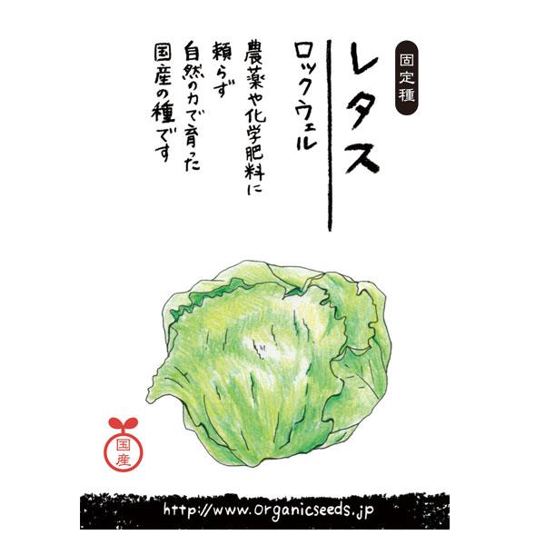 ナチュラルライフステーション 国産・自然農法種子 レタス/ロックウェル 2月〜4月/8月〜10月まき...