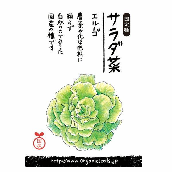 ナチュラルライフステーション 国産・自然農法種子 サラダ菜/エルーゴ 2月〜6月/8月〜10月まき ...