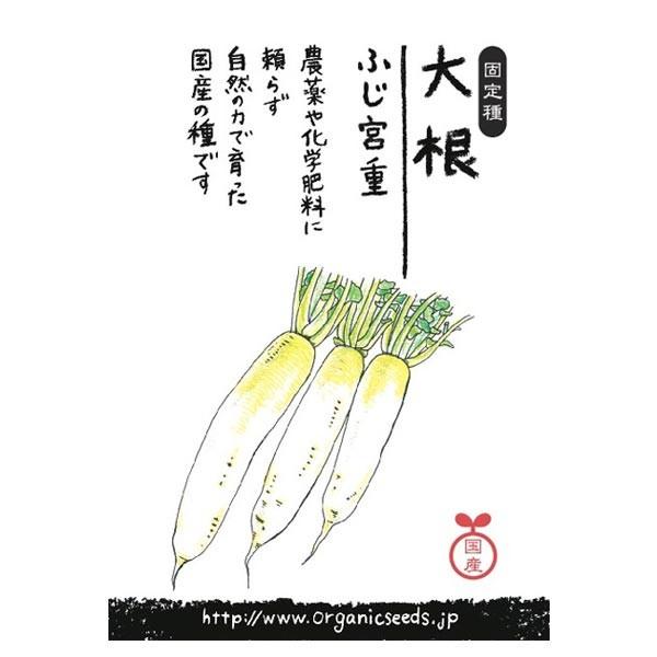 ナチュラルライフステーション 国産・自然農法種子 大根/ふじ宮重（8〜10月まき） 約50粒