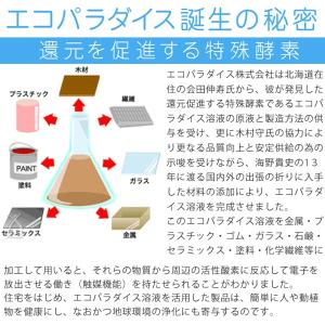 3世ピリカレ 1kgの詳細画像1