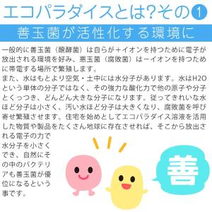 3世ピリカレ 1kgの詳細画像2