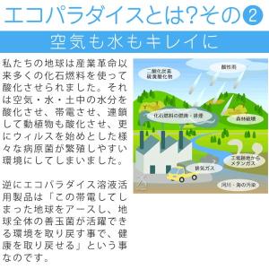 3世ピリカレ 1kgの詳細画像3