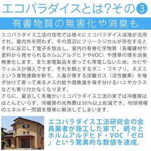 3世ピリカレ 1kgの詳細画像4