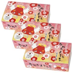 3個セット ルネサンス バーンアップ デラックス DX 30日分 180粒