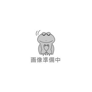 反射マット用ビニールカバー（4折）