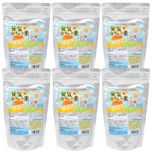 波動共鳴ペンダント アイパシー（ペンダント型波動発生器） : プレマ