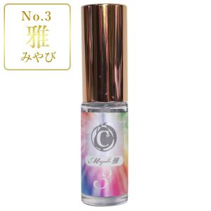 アモアプリーズ    No.3 雅