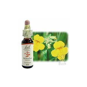 バッチフラワーレメディ 36ワイルドオート ノンアルコープタイプ 10ml