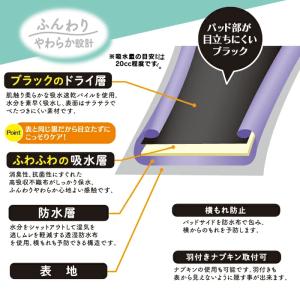 吸水ショーツ 吸水量20cc 送料無料 シーク...の詳細画像1