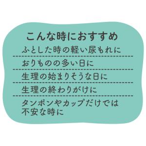 吸水ショーツ 吸水量20cc 送料無料 シーク...の詳細画像4