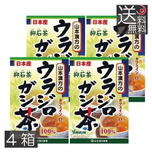 山本漢方 ウラジロガシ茶 100％ (5g×20包) 抑石茶 ティーバッグ ノン