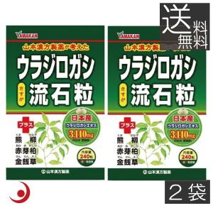 ウラジロガシ流石粒 ( 250mg*240粒*2箱セット )/ 山本漢方 : 爽快