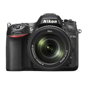 Nikon D800 美品 42000枚 ニコン（Nikon） 中古 1年保証 美品 Nikon D800 28-300mm VR レンズ